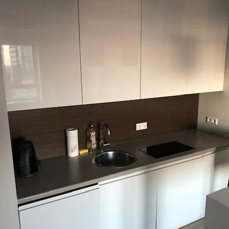 Luxury Apartments In Platinium Towers ワルシャワ エクステリア 写真